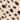 Hair Turban, Cheetah, swatch