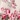 Sweetheart Neck Lounger, Animal Rose Border, swatch