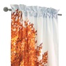 Scenic Photo Window Set , , large