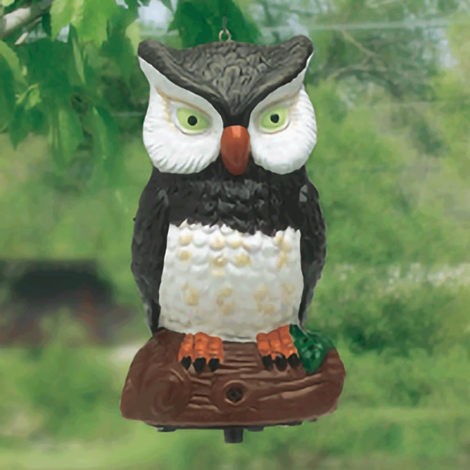 Motion Sensor Owl, , large