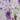 Tropical Border Dress, Iris Print, swatch