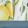 Lemon Grove