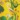 Long Satin Caftan, Yellow Floral, swatch