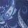 Paisley Royal