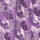 Purple Patch