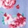 Floral Print