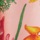 Pink Floral Border