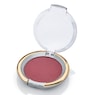 Arpeggio Ultimate Blush & Blend Blush, , large