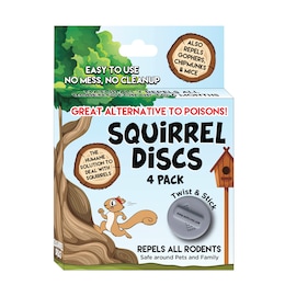 4 Pack of Squirrel Discs, , large