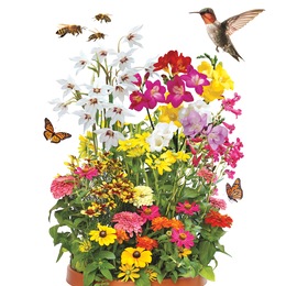 Birds, Bees and Butterfly Collection, , large