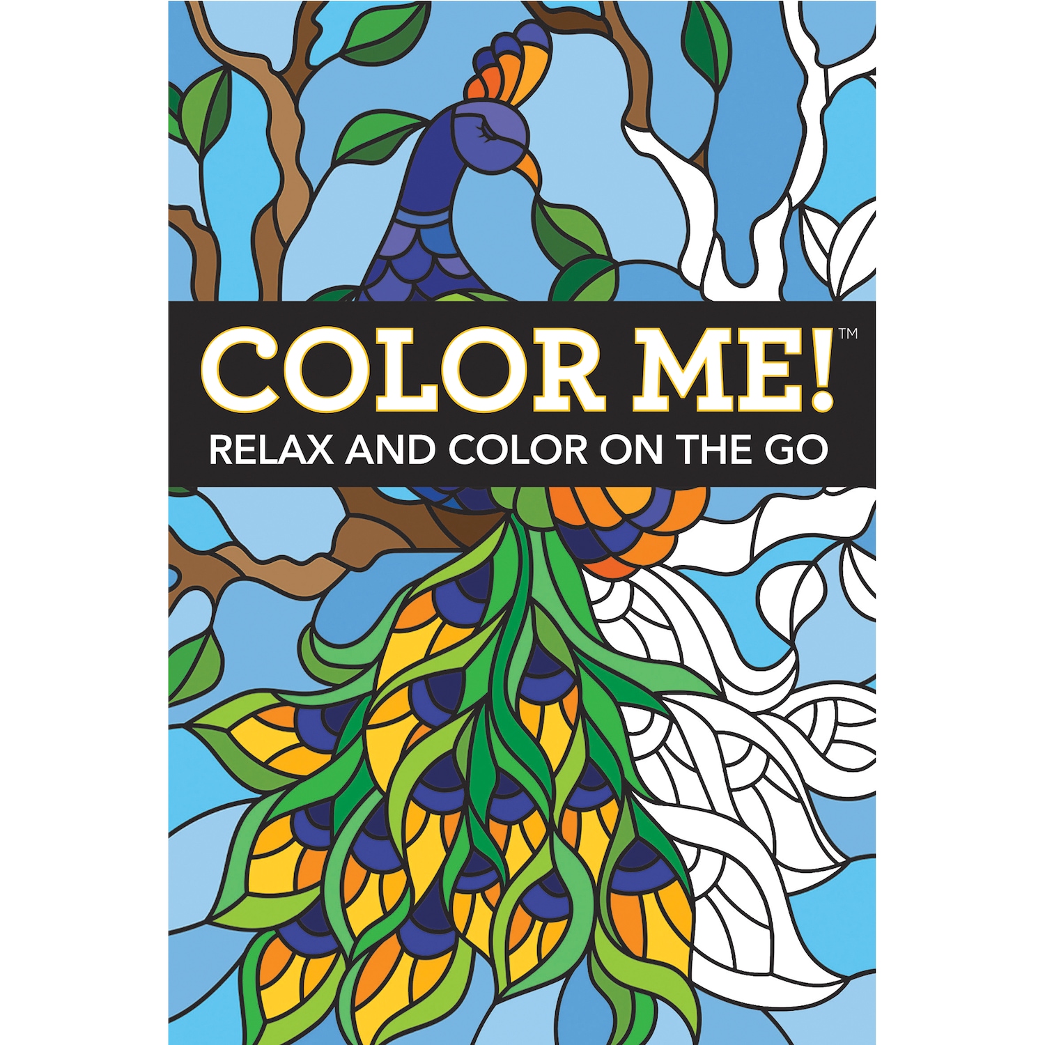 Set of 5 Color Me! Adult Coloring Books | Carol Wright