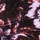 Plum Floral