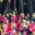 Evening Floral