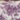 Bedtite Toile Microfiber Sheet Set, Purple, swatch