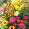 Butterfly Garden Flower Mat, , large