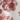 Bedtite Toile Microfiber Sheet Set, Red, swatch