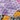 Women's Butterfly Comfort Clog, Purple, swatch
