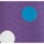 Purple Multi Dot