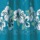 Dark Teal Bold Floral