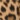 Stretch Pull-On Pant, Animal Print, swatch