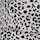 Snow Leopard