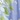 Tropical Border Dress, Blue Floral, swatch
