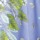 Blue Floral