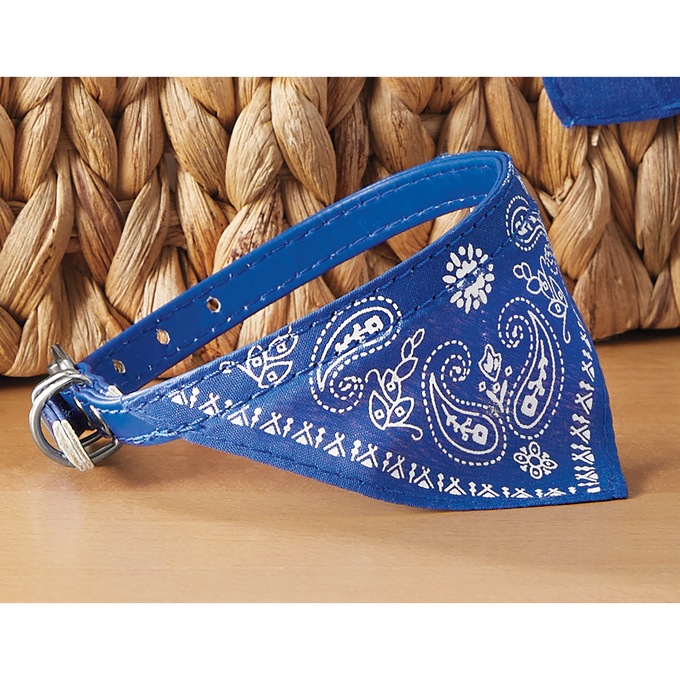Bandana Pet Collar, Blue, large