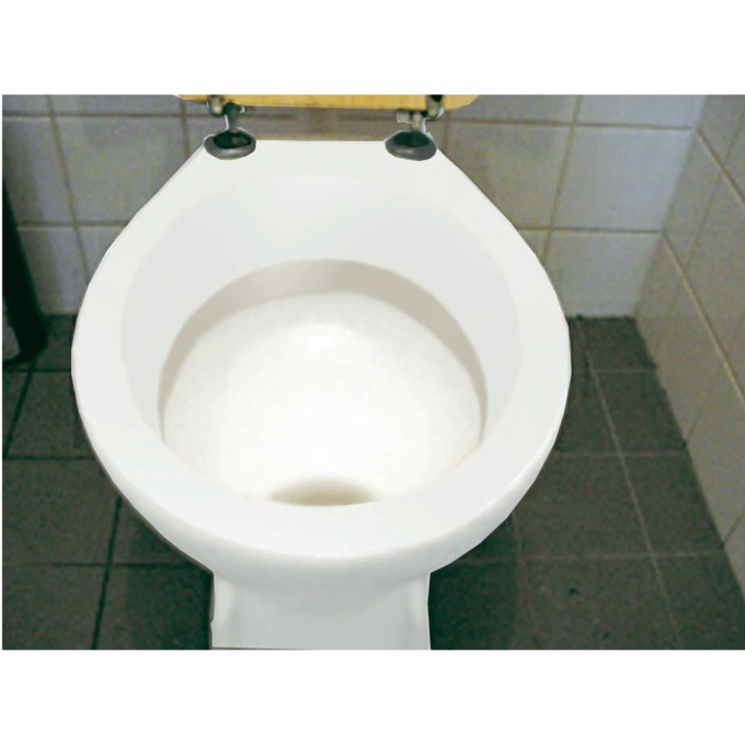 Magnetic Toilet Bowl Cleaner, , large