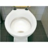 Magnetic Toilet Bowl Cleaner, , large