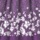 Purple Border
