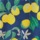 Lemon Garden