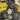 Cotton Maxi Dress, Yellow, swatch