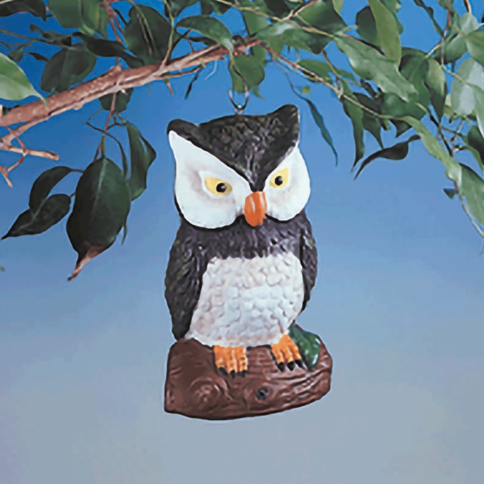 Motion Sensor Owl, , large