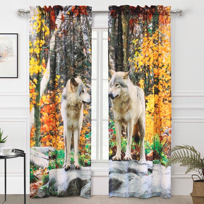 Scenic Photo Window Set , , large