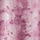 Rose Print