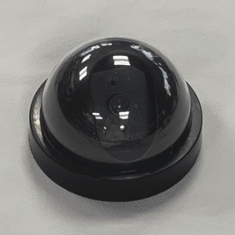 Motion Light &amp; Faux Camera, , large