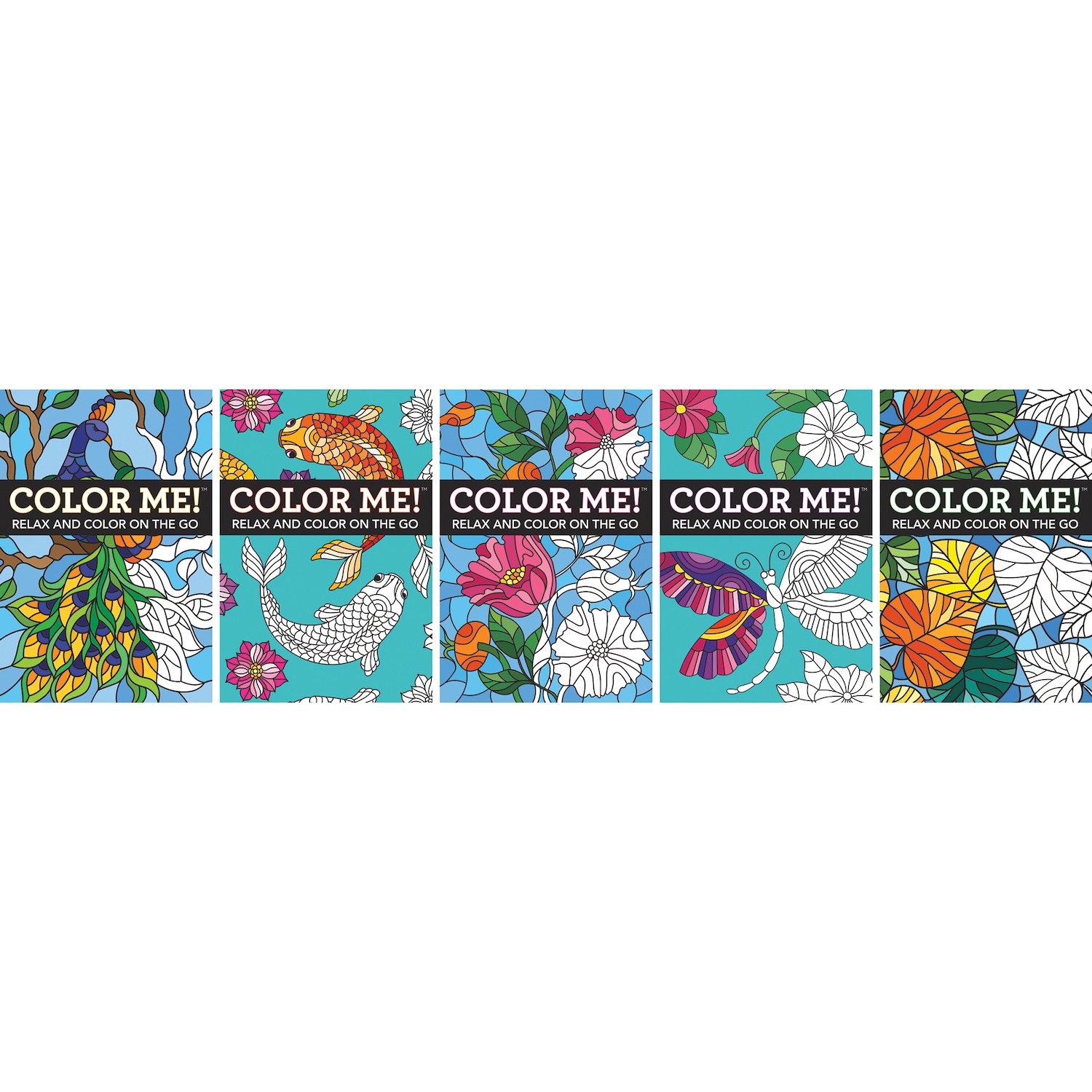 Set of 5 Color Me! Adult Coloring Books | Carol Wright