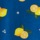 Lemon Print