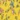 Smocked-Waist Dress, Yellow Floral, swatch