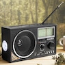 Audiobox Solar Bluetooth Emergency Radio & Light, , large