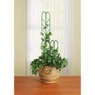 Set of 3 Plant Supports, , large