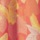 Tropical Melon Print