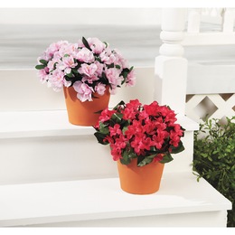 Weather-Proof Fabric Flowers, , large