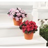 Weather-Proof Fabric Flowers, , large