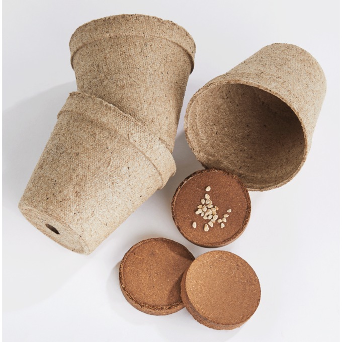 Big Red Tomatoes, , large