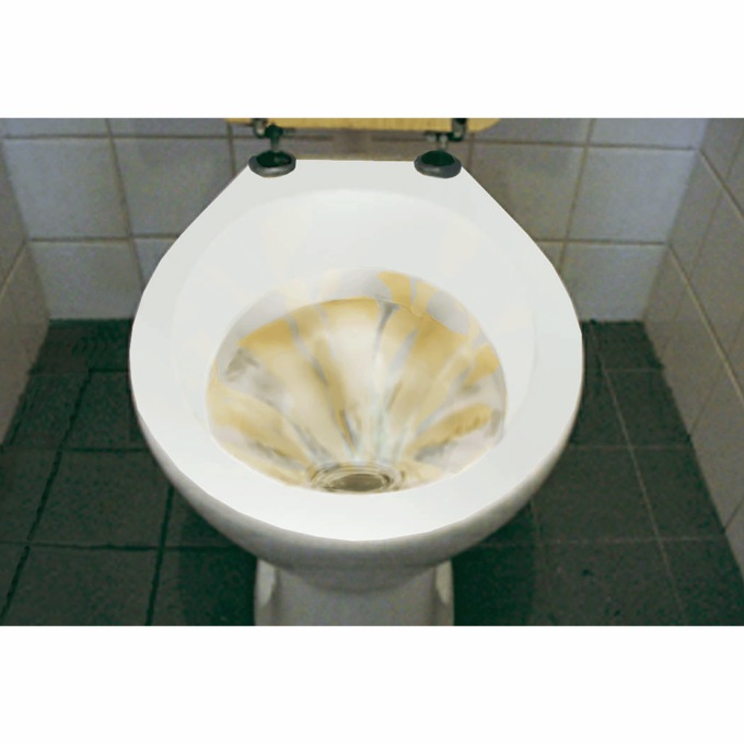 Magnetic Toilet Bowl Cleaner, , large