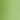Long Tropical Lounger, Pear, swatch
